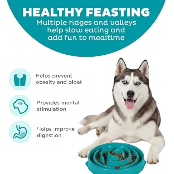 NWT Outward Hound Slo Bowl Turquoise Blue LARGE Slow Feeder Anti Bloat Dog Bowl - Picture 4 of 9